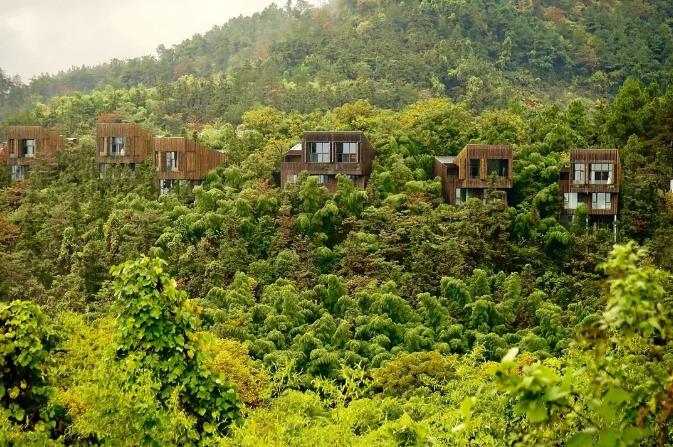 隐居溧阳山野，竟藏着一条萤火虫之路！3