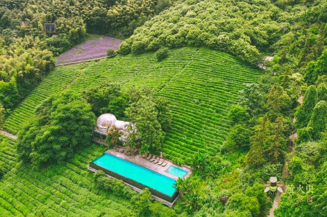 隐居溧阳山野，竟藏着一条萤火虫之路！4