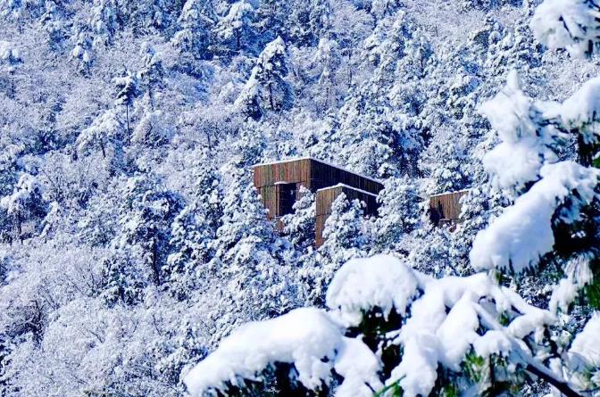 隐居溧阳山野，竟藏着一条萤火虫之路！8