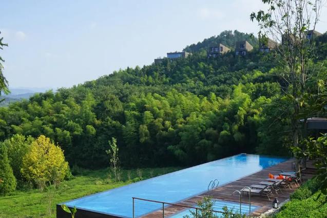 隐居溧阳山野，竟藏着一条萤火虫之路！9