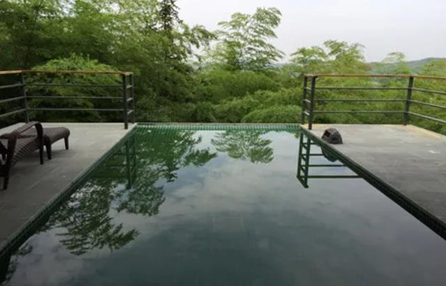 隐居溧阳山野，竟藏着一条萤火虫之路！10