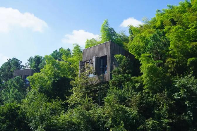 隐居溧阳山野，竟藏着一条萤火虫之路！11