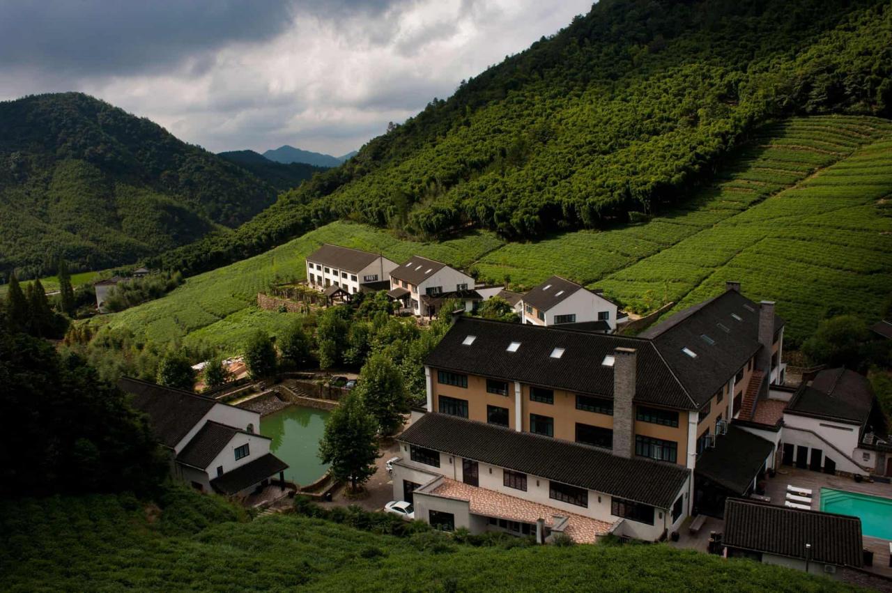 来莫干山避暑,这几个民宿不要错过2