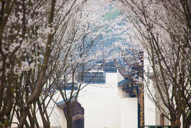 绍兴兰亭安麓，体验王羲之笔下的山野美景8