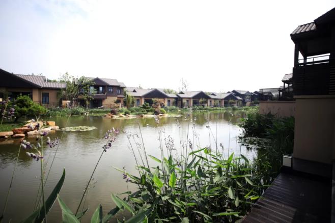 启东洲颐温泉酒店,江浙沪又一网红旅游目的地10