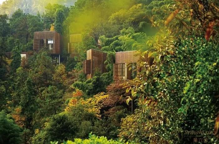 江浙沪值得一住的奢华酒店都有哪些？24