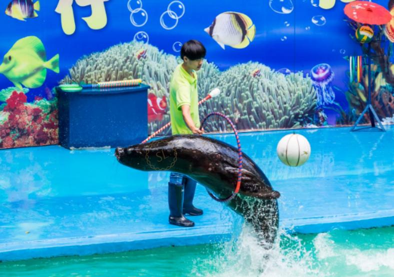 杭州暑假周边游都有哪些好去处?3