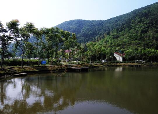 莫干山露营基地都有哪些?1