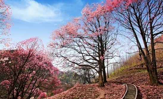 暑期从成都出发二日游去哪里好？5