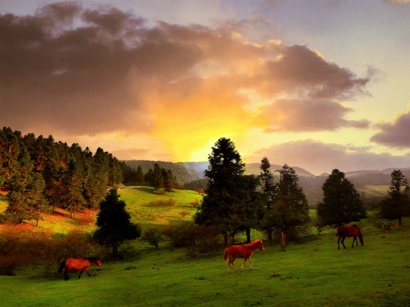 成都到仙女山游玩攻略，山城的魅力不能小看1