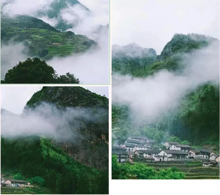 乐领·遂昌旗山侠隐丨发现仅属于你的避世桃源1