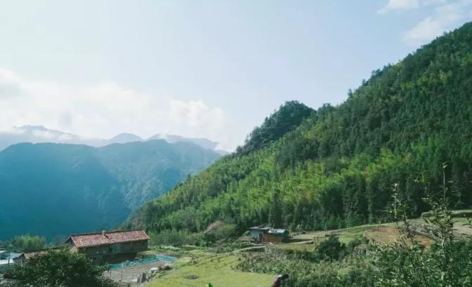 乐领·遂昌旗山侠隐丨发现仅属于你的避世桃源4