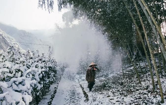 乐领·遂昌旗山侠隐丨发现仅属于你的避世桃源11