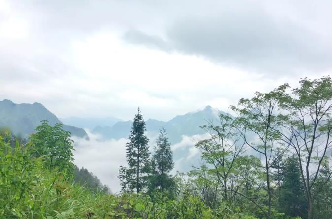 乐领·遂昌旗山侠隐丨发现仅属于你的避世桃源8