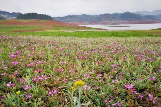 乐领·遂昌旗山侠隐丨发现仅属于你的避世桃源9