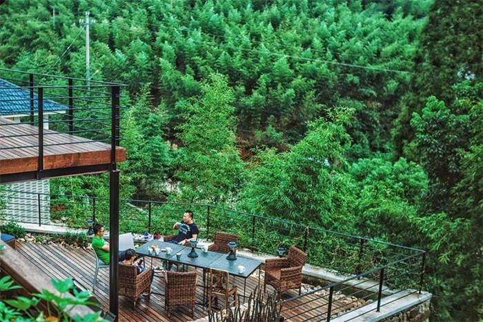 入住莫干山西坡山乡,体验山青水秀3