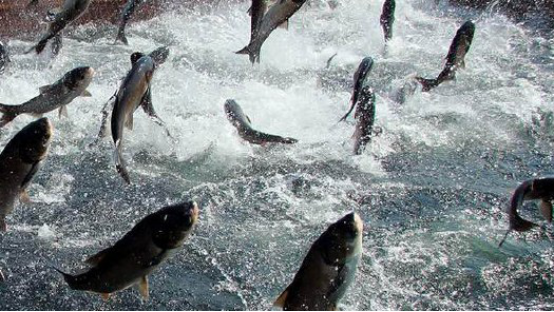 对于第一次去杭州,该如何游玩?1