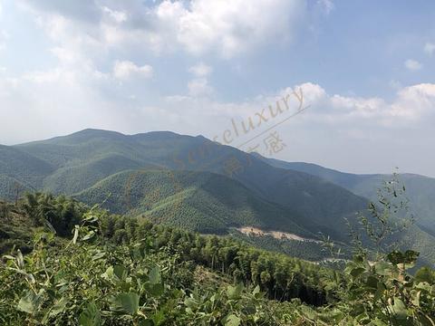 莫干山都有哪些好去处?1