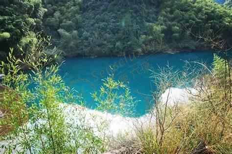 携同家人一起前去莫干山自驾游5