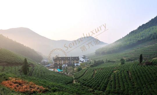 携同家人一起前去莫干山自驾游6