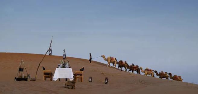 食野大漠,住黄河宿集,沉浸于黄河畔1