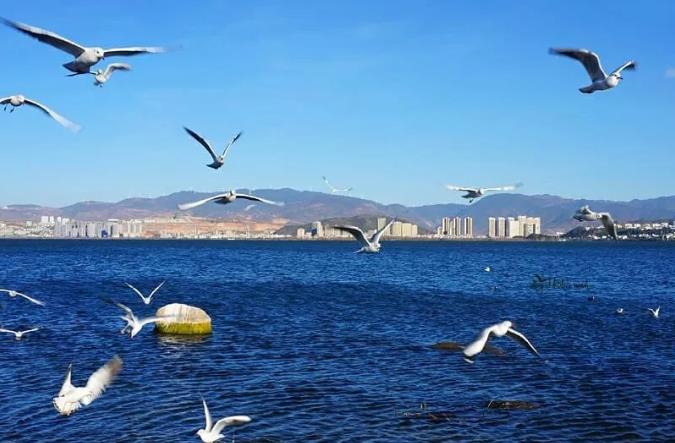 暑假毕业季莫干山游玩攻略大全21