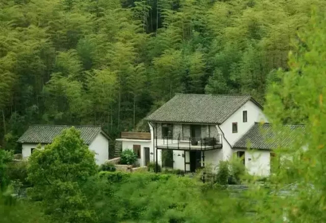 暑假带着家人去莫干山的西坡山乡度假1