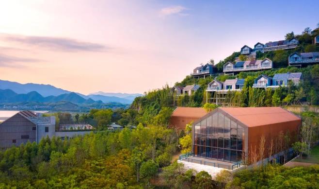 杭州桐庐康莱德，一个可以带宠物的酒店7