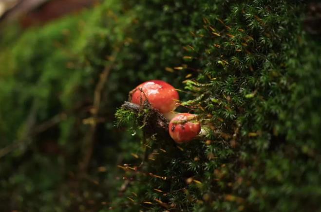 这个夏天都有哪些旅行好去处呢?4