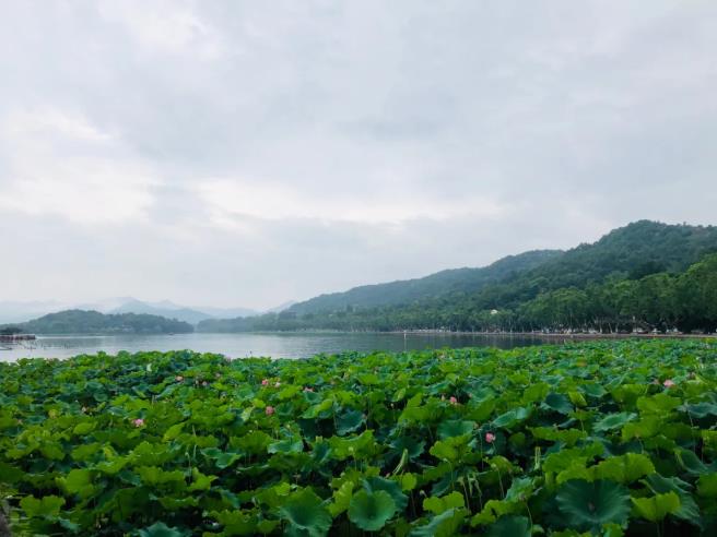 这个夏天都有哪些旅行好去处呢?7