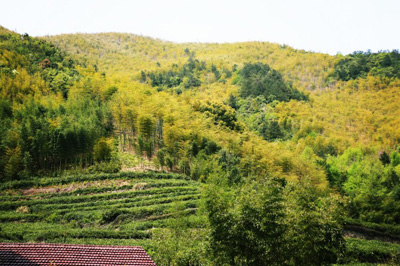 莫干山暑假自由行行程路线推荐7