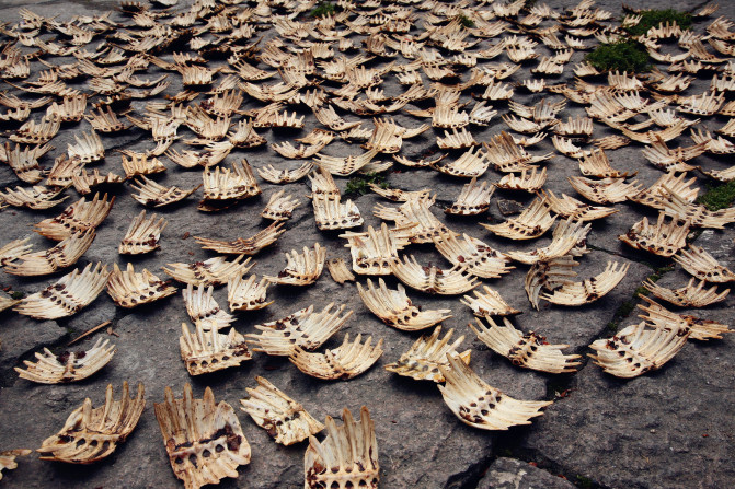 莫干山暑假自由行行程路线推荐10