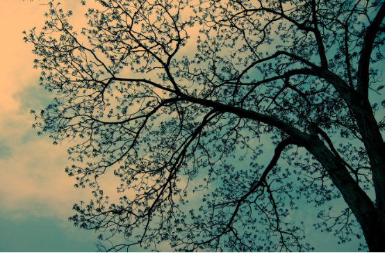 暑假带着父母来一场短暂的莫干山出行2