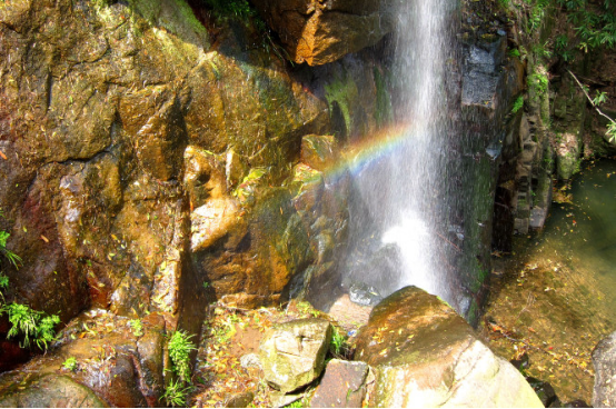 暑假带着父母来一场短暂的莫干山出行3