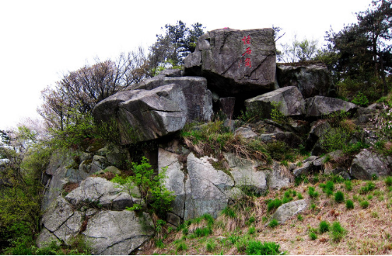 暑假带着父母来一场短暂的莫干山出行6