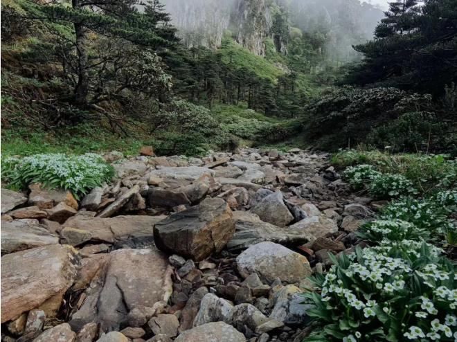 暑假在国内自由行,都有哪些城市可去?3