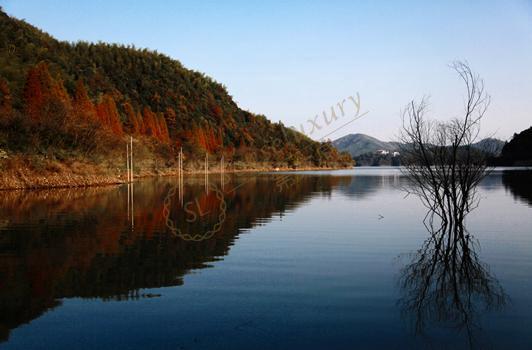 莫干山是暑期避暑度假的好去处3