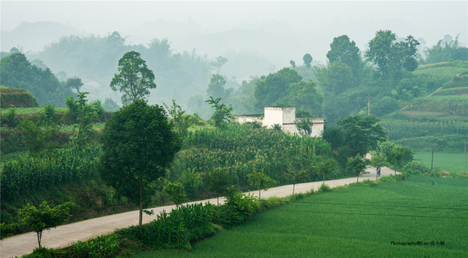 暑假去莫干山,享那份难得的清净3