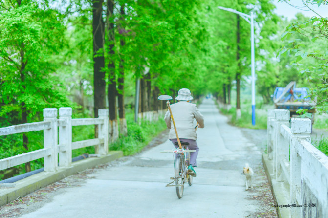 暑假去莫干山,享那份难得的清净4