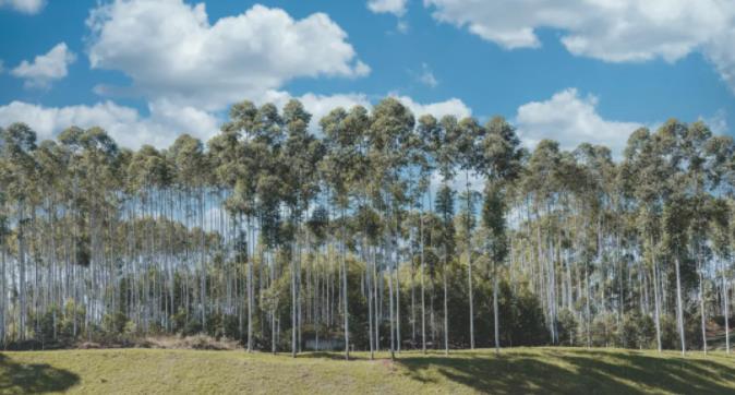 神仙级度假城堡-米勒东风韵美憬阁3