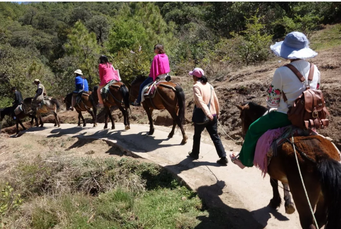 暑假去云南，这几大景点一定不要错过2
