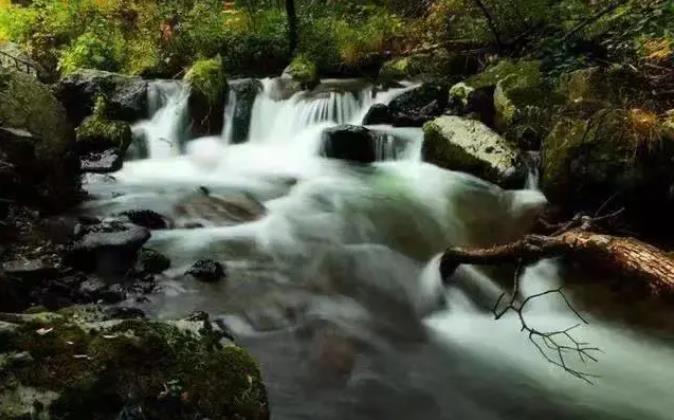 夏季的长白山，中国十大避暑胜地之一2