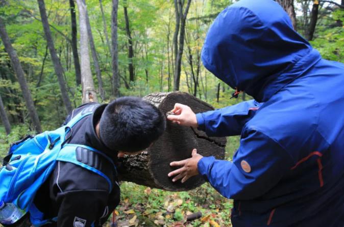 夏季的长白山，中国十大避暑胜地之一5