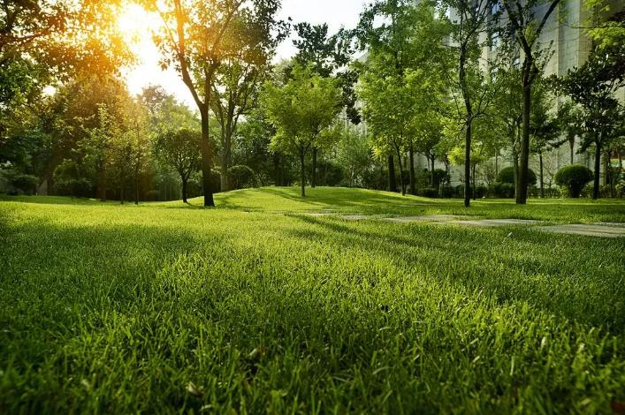 西安这座古城都隐藏了哪些奢华酒店？2