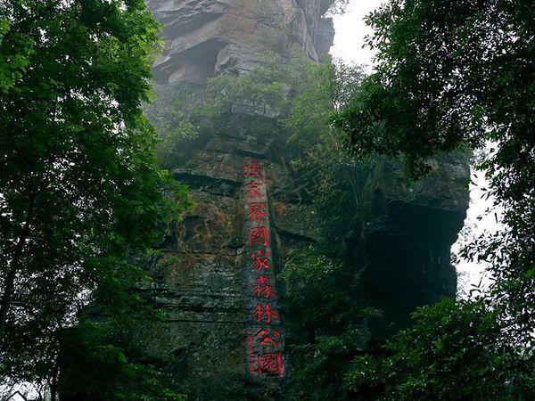 暑期在张家界旅游,有哪些好玩的景点?2