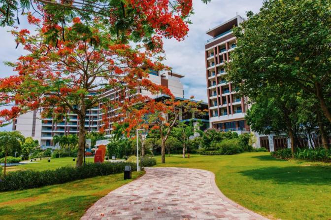 三亚理文索菲特，带上萌娃体验法式浪漫之旅5