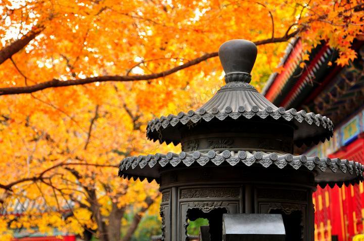 酷暑去北京逛一圈,这篇攻略请带上1