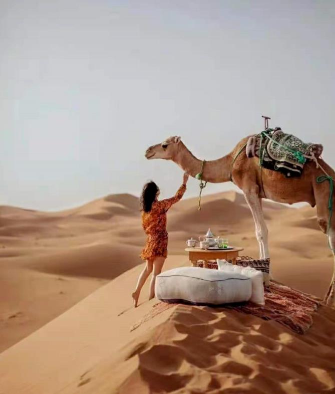 沙漠中的巨星酒店,带你去看天幕下的星星4