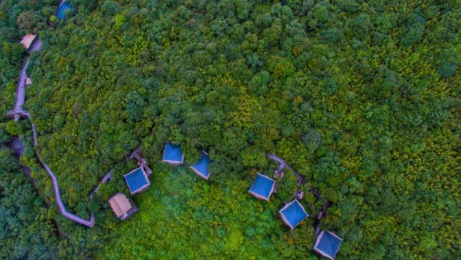 暑期亲子带娃,康藤高黎贡野奢帐篷考虑一下?2