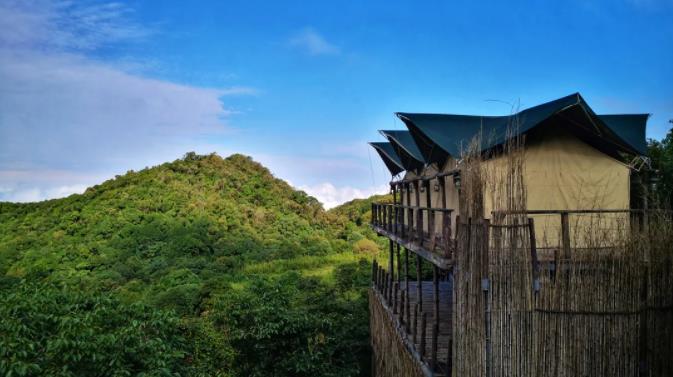 暑期亲子带娃,康藤高黎贡野奢帐篷考虑一下?6